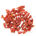 Wolfberry khô Lycium Barbarum Goji Berry để bán